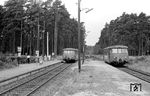 Zugkreuzung im Bahnhof Meeschensee-Alsterquelle auf der Alsternordbahn von Ulzburg Süd nach Ochsenzoll. (07.08.1969) <i>Foto: Gerd Wolff</i>