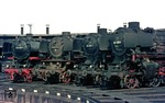 Am Ostersonntag 1975 haben freundliche Eisenbahner des Bw Rheine 012 055, 012 066, 042 241 und 043 087 fotogerecht vor dem Schuppen aufgestellt. (30.03.1975) <i>Foto: Wolfgang Bügel</i>