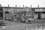 Auch für die Emder 023 103 gab es über Pfingsten nichts zu tun. Erst am nachfolgenden Werktag hatte sie Dienstbeginn vor einem Personenzug nach Münster (Westf). (18.05.1970) <i>Foto: Wolfgang Bügel</i>