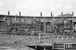 Vor dem Schuppen im Bw Rheine sonnen sich 043 381 und 023 103. (18.05.1970) <i>Foto: Wolfgang Bügel</i>