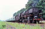 01 081 vom Bw Trier ist mit P 3530 (Köln-Deutz ab 16.36 Uhr – Jünkerath) im Bahnhof Kierberg (heute Brühl-Kierberg) angekommen. Der so genannte Kaiserbahnhof verdankte seine besonders aufwändige (hier nicht sichtbare) Gestaltung dem Kaiser Wilhelm I., der den Bahnhof als Zwischenhalt für seine jährlichen Besuche der Herbstmanöver in der Eifel anfuhr. Für den kaiserlichen Zug war extra ein Abstellgleis auf der nördlichen Streckenseite angelegt worden, was den Haltepunkt betrieblich in einen 'echten' Bahnhof verwandelte. (15.06.1968) <i>Foto: Helmut Dahlhaus</i>