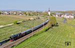 Nicht von ungefähr wird Eltville am Rhein seit Jahrhunderten als Sekt- und Weinstadt geschätzt. Gereift auf fruchtbarsten Böden und sonnenverwöhnten Südhängen, sind - laut Eigenwerbung - Weine und Sekte aus Eltville am Rhein bekannt für Spitzenqualität. Zu nennen sind feinste Weinlagen wie Eltviller Sonnenberg, Steinberg, Hattenheimer Nussbrunnen, Martinsthaler Wildsau und Rauenthaler Baiken. An diesem Tag war für die erlesenen Tropfen allerdings keine Zeit, denn 01 1104 war bei Eltville im Anmarsch. (12.04.2025) <i>Foto: Joachim Schmidt</i>