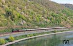 Vor Kaub gab es dann die nächste Verwirrung: Am Einfahrsignal wurde Durchfahrt angezeigt, obwohl der Zug zum Wassernehmen nach Gleis 3 wechseln sollte. Nach Halt und Rücksprache mit dem Fdl wurde die Durchfahrt zurückgenommen. Der Zug erreichte dann Kaub zu einer Zeit, wo er schon längst wieder unterwegs sein sollte. (12.04.2025) <i>Foto: Joachim Schmidt</i>