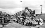 Bevor 012 081 mit dem D 714 letztmalig nach Norddeich Mole auf die Reise ging, hatte Heizer Clemens Poggemann im Bw Rheine die Abschiedsbeschriftung auf der Rauchkammertür "seiner" Lok angebracht.  (31.05.1975) <i>Foto: Joachim Schmidt</i>