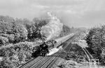 In der Ausfahrt aus Meppen war der Regen durch und präsentierte sich nur noch als dunkler Hintergrund vor 012 081, die bei gleißendem Sonnenlicht ihren Abschieds-Dampfpilz vor dem D 714 in die feuchte Luft schickte. Durch den strömenden Regen war die Abschiedsbeschriftung auf der Rauchkammertür abgewaschen, aber die nasse Lok glänzte wie frisch lackiert. Ein toller Abschiedseindruck, doch es war noch nicht zu Ende: Auf der parallelen B 70 begleiten wir den Zug bis Lathen. 012 081 räucherte angesichts der ungeheuren Anstrengung ständig vor sich hin. Die tobende Lok fuhr in die nächste Regenfront und jeder Tropfen nahm den Ölruß aus der Abdampfwolke mit auf den Boden. So sah anschließend auch das Auto aus. (31.05.1975) <i>Foto: Joachim Schmidt</i>