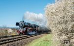 Das Weiratal bei Saalfeld-Gorndorf zeigte sich bei der Vorbeifahrt der 03 2155 in voller Blüte. (04.04.2025) <i>Foto: Atijana Schmidt</i>
