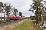 Die Fischteiche bei Mitterteich passiert 218 403 mit RE 4858 nach Hof. (13.04.2025) <i>Foto: Joachim Bügel</i>