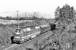 119 080 vom Bw Nordhausen mit einem Personenzug bei Erdeborn nahe Röblingen am See. (22.05.1989) <i>Foto: Thomas Fischer</i>