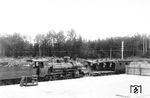 Die bayerische B XI 1285 war im Bahnhof Seekirchen-Mattsee auf der österreichischen Westbahn nahe Salzburg in einen Unfall verwickelt. Nähere Umstände sind nicht bekannt. (31.07.1898) <i>Foto: RVM-Archiv</i>