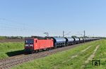 In Leuna wird nicht nur Öl raffiniert, sondern auch Dünger hergestellt. Dieser wird in Ganzzügen zur Verschiffung nach Hamburg abgefahren. Einen Leerzug von Hamburg nach Großkorbetha bespannte 143 963 des DB-Mietpools bei Niemberg auf der Strecke Magdeburg - Halle (Saale).  (26.04.2025) <i>Foto: Ralf Opalka</i>