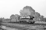 Am späten Nachmittag kehrte 10 001 mit dem D 200 (Leipzig - Bebra - Frankfurt/M) zurück in die Mainmetropole. Karl-Ernst Maedel erwartete die Lok in der Einfahrt in Hanau Hbf. (08.1960) <i>Foto: Karl-Ernst Maedel</i>