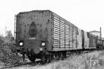 Der Kondenstender von 52 2017 (Henschel, Baujahr 1944), die am 1. Juni 1953 ausgemustert worden war, stand mit weiteren Tendern im Bw Hanau. Die Lok selbst war von 1953 bis Mai 1964 als Heizlok im Bw Heidelberg im Einsatz, bevor sie Ende 1964 im AW Trier zerlegt wurde. Ihr Tender war wohl spätestens mit Beginn des Heizlok-Einsatzes von der Lok getrennt worden und stand zunächst jahrelang im Bahnhof Wintersdorf (Baden) abgestellt. Zur Sammlung eines Kontingents zwecks Veräußerung an einen Schrotthändler wurden verschiedene Tender in Hanau zusammengezogen. (08.1961) <i>Foto: Karl-Ernst Maedel</i>