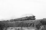 10 002 (Bw Bebra) mit einem Schnellzug (möglicherweise der D 469) bei Frankfurt-Mainkur. (08.1961) <i>Foto: Karl-Ernst Maedel</i>