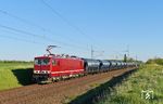 250 004 der Traktion4Rent GmbH Saalburg-Ebersdorf mit einem Düngerzug von Leuna Großkorbetha zur Verschiffung nach Hamburg zwischen Stuhmsdorf und Köthen. (28.04.2025) <i>Foto: Ralf Opalka</i>