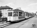 Eine Reihe Verbandstriebwagen der Waggonfabrik Rastatt (Baujahr 1951/53) warten als Einsatzwagen am Dreisamstadion in der Schwarzwaldstraße. (05.1971) <i>Foto: Reinhard Todt</i>