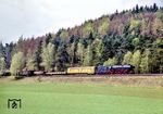 Nahe der Blockstelle Mainshof bei Schönlind rollt 01 1066 auf Sulzbach-Rosenberg zu. (09.05.1985) <i>Foto: Joachim Schmidt</i>