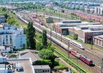 01 1104 mit dem "Belle Train"-Sonderzug nach Nürnberg in Höhe des ehemaligen Bw Frankfurt(M)-1. Am Zugschluss laufen 151 129 und 218 155 mit. (13.05.2025) <i>Foto: Joachim Schmidt</i>