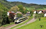 Westlich von Halbmeil sind 563 126 + 563 008 als RB 87532 nach Offenburg unterwegs. (30.04.2025) <i>Foto: Zeno Pillmann</i>