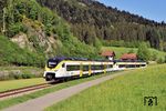 563 005 + 563 122 als RB 87536 nach Offenburg westlich von Halbmeil. (30.04.2025) <i>Foto: Zeno Pillmann</i>