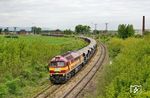 Die zu Rail Polska gehörende M62M-010 mit einem Güterzug bei Kamienziec-Zabkowicki (früher Kamenz/Schlesien). Die Lok besitzt einen GM-Motor mit 3.000 PS und gehört damit zu den stärksten M62 mit einem tief wummernden Sound. (10.05.2025) <i>Foto: Sylvio Ohlt</i>