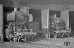 Samstagsruhe im Bw Heilbronn mit den hier stationierten 051 240, 050 767 und 064 457. (26.09.1970) <i>Foto: Wolfgang Bügel</i>