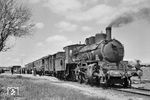 RENFE 230-2133 ist mit einem Personenzug von Utrera (Andalusien) nach Marchena im Kreuzungsbahnhof Arahal eingetroffen. (28.05.1967) <i>Foto: Robin Fell</i>