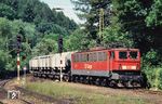 Die Loks der Baureihe 251 (ab 1992: 171) wurden nur auf der Strecke Blankenburg (Harz) – Königshütte (Rübelandbahn) eingesetzt. Da diese Strecke große Steigungen aufweist und schon vor Beginn der Elektrifizierungsarbeiten klar war, dass sie auf absehbare Zeit ein elektrischer Inselbetrieb bleiben würde, wurde sie 1965 abweichend vom restlichen deutschen Eisenbahnnetz statt mit 15 kV bei 16 2/3 Hz mit 25 kV bei 50 Hz elektrifiziert und aus dem Landesnetz gespeist. 171 004 fährt mit einem Kalkkübelwagenzug in den Bahnhof Rübeland Pbf ein. (05.07.2002) <i>Foto: Siegfried Graßmann</i>