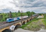 383 019 von CD-Cargo mit einem Containerzug auf dem Eisenbahnviadukt in Leipzig-Wiederitzsch. Die Brücke wurde 1906 nach drei Jahren Bauzeit fertiggestellt. Die zwanzig gemauerten Bögen des Klinkerbaus sind insgesamt 300 m lang und überbrücken die Aue der nördlichen Rietzschke. Der Bau überführt die Eisenbahnstrecke von Wahren nach Engelsdorf und ist Teil des Leipziger Güterrings. Das sanierungsbedürftige Viadukt durfte 2025 nur noch mit 10 km/h befahren werden und soll umfangreich erneuert werden. Da es anschließend mit Lärmschutzwänden versehen wird, sind solche Aufnahmen künftig nicht mehr möglich. (17.05.2025) <i>Foto: Joachim Schmidt</i>