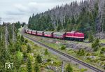 In die Ausweiche am Goetheweg fährt 199 861, um einem bergfahrenden Zug zum Brocken Platz zu machen. (19.05.2025) <i>Foto: Joachim Schmidt</i>
