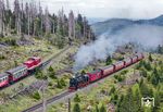Im Ausweichgleis am Goetheweg wartet 199 861 die Vorbeifahrt der 99 236 mit P 8931 zum Brocken ab. Entgegen anders lautender populistischer Aussagen hat das Waldsterben am Brocken übrigens nichts mit den Dampfloks zu tun. (19.05.2025) <i>Foto: Joachim Schmidt</i>