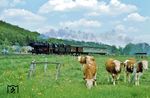 Hinter Hahnstätten geht es für 050 042 weiter nach Zollhaus (Nassau). Ohne den an diesem Tag zusätzlichen Bn-Wagen wäre das Zuggewicht eher eine Last für eine Köf gewesen. (13.05.1973) <i>Foto: Dieter Junker</i>