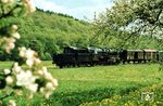 Durch das blühende Aartal geht es für 050 042 mit Ng 16121 bei Flacht zurück nach Limburg (Lahn). Am 27. Oktober 1973 bespannte 050 034 diesen Zug als letzte Limburger Planleistung. (13.05.1973) <i>Foto: Dieter Junker</i>