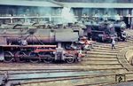Neben den 'profanen' 52er im Bw Cottbus fällt 43 012 (zweite von oben) auf, die hier ihre letzte Heimat fand. Anfang 1968 wurde sie ausgemustert. Die Loks stehen vor dem Schuppen IV, der Anfang der 1980er Jahre einen neuen Dachaufbau und neue Tore erhielt und heute noch in seiner modernisierten Form vorhanden ist. (01.05.1967) <i>Foto: Rolf Kluge, Slg. Holzborn</i>