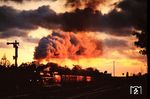 Auch am Tag zuvor gelang in der Morgendämmerung mit der aus Burg (b Magdeburg) ausfahrenden 41 1185 ein stimmungsvolles Bild. (19.10.1991) <i>Foto: Klaus D. Holzborn</i>