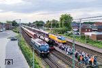 Im Bahnhof Salzbergen verließ 012 104 den Sonderzug und es fand ein Lokwechsel auf 110 350 statt, die den Zug bis Lippstadt bringen sollte. Auf dem Nachbargleis rauscht IC 243 von Amsterdam Centraal nach Hannover Hbf vorbei. (31.05.2025) <i>Foto: Joachim Schmidt</i>
