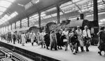 Ein Sonderzug ist mit einer P 8 in Wiesbaden Hbf angekommen.  (1954) <i>Foto: Hans Scheffler</i>