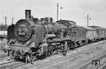 38 2232 (Bw Stralsund) vor einem Güterzug im Bahnhof Bergen auf Rügen. (1967) <i>Foto: Robin Fell</i>