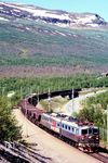 LKAB Dm3 Nr. 1220 fährt mit einem leeren Erzzug von Narvik nach Kiruna durch den Haltepunkt Abisko Turiststation. Die LKAB (Luossavaara-Kiirunavaara Aktiebolag) ist ein schwedisches Bergbauunternehmen mit Sitz in Luleå, das sich zu 100 % im Besitz des schwedischen Staates befindet. Das Unternehmen betreibt unter anderem das weltgrößte Eisenerzbergwerk in Kiruna.  (26.06.1999) <i>Foto: Siegfried Graßmann</i>