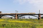 103 113 vor Lr 336 zum Kölner Hauptbahnhof mit dem Kölner Wahrzeichen auf der Südbrücke. (14.06.2025) <i>Foto: Joachim Bügel</i>