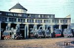 Dort, wo heute das Unkraut wächst, präsentierte sich am Karfreitag 1967 im Bw Wuppertal-Vohwinkel ein volles Haus mit 94 1516, 94 1730, 94 1586, 78 159 und 94 526. Noch bis Mai 1976 tauchten hier vereinzelt Dampfloks anderer Betriebswerke auf, die aber wegen eines Teilabbrisses nicht mehr die früheren Versorgungsanlagen nutzen konnten. Im Januar 2015 verschwand mit dem hier zu sehenden Lokschuppen die letzte Erinnerung an das Bw. Seitdem plant man auf dem brachliegenden Areal eine neue großzügige Wohnbebauung, die auch zehn Jahre danach noch nicht realisiert wurde.  (24.03.1967) <i>Foto: Helmut Dahlhaus</i>