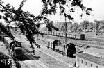 In der südlichen Ausfahrt in Ludwigsburg treffen V 60 103 (Bw Plochingen), 94 107 (Bw Kornwestheim) und ein ET 65 aufeinander. (07.1957) <i>Foto: Jürgen Hagemann, Slg. R. Garn</i>