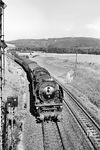 Die Hofer Neukessel-Lok 01 187 passiert mit E 866 das östliche Einfahrsignal in Neuenmarkt-Wirsberg. (30.07.1963) <i>Foto: Karl-Ernst Maedel</i>
