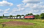 232 701 des Bahnbetriebs Gera mit dem Dolomitzug nach Brandenburg zwischen Gera und Zeitz bei Pötewitz. (17.06.2025) <i>Foto: Ralf Opalka</i>