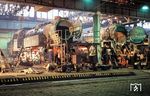 Neben 01 519 (rechts) erhielt auch 65 1057 eine L 6-Hauptuntersuchung im Raw Meiningen. Sie wurde im September 1991 von der DR an die Berliner Eisenbahnfreunde (BEF) verkauft. Bis zum Fristablauf im Jahre 1998 war sie meist auf der Heidekrautbahn im Einsatz. Heute steht sie im Heidekrautbahn-Museum der BEF im ehemaligen Bahnbetriebswerk Basdorf. Versuche zur Wiederinbetriebnahme der Lok scheiterten bisher an der Höhe der Kosten für die Hauptuntersuchung. 01 519 wurde im Frühjahr 1996 durch die Eisenbahnfreunde Zollernbahn (EFZ) gekauft. Zwischen 2015 und 2023 war sie letztmalig in Betrieb. Die erforderlichen Arbeiten zur Wiederinbetriebnahme wurden seitdem wieder in Angriff genommen. (17.12.1990) <i>Foto: Joachim Schmidt</i>