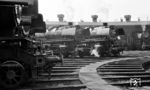 In ihrem Heimat-Bw haben sich 44 131, 44 1319 und 50 3013 mit weiteren Loks versammelt. (23.08.1964) <i>Foto: Karl Wyrsch, Slg. D. Ammann</i>