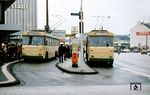 In den Jahren 1967 bis 1974 entstanden als Eigenbauten der Stadtwerke Solingen (SWS) insgesamt 80 dreiachsige und zweitürige Solowagen für den Oberleitungsbetrieb in Solingen. Der Aufbau stammte vom Essener Karosseriebauunternehmen Gebr. Ludewig, das Fahrwerk basierte auf serienmäßigen Bauteilen von Krupp-Lastkraftwagen. Je nach Variante besaß der Bus 28 Sitz- und 124 Stehplätze oder 35 Sitz- und 105 Stehplätze. Die Produktion eines jeden Fahrzeugs kostete die Stadtwerke Solingen im Durchschnitt 165.000 DM. Damit waren die Fahrzeuge sogar günstiger als die seinerzeit angebotenen Dieselbusse. Am Busbahnhof Graf-Wilhelm-PLatz treffen Wagen 58 (Baujahr 1973) und Wagen 71 (Baujahr 1974) aufeinander. Letzter Einsatztag dieser Busse in Solingen war der 7. Juli 1988. Ende 1988 wurden fast alle Fahrzeuge an die argentinische Stadt Mendoza verkauft.  (1981) <i>Foto: Robin Fell</i>