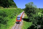 620 009 als RB 10031 auf dem Weg nach Gerolstein bei Pelm. Im Zuge des Streckenwiederaufbaus nach der Flut vom Juli 2021 wurden die schon vorher bestehenden Planungen zur Elektrifizierung der Strecke vorgezogen und auf die Streckenabschnitte südlich von Kall erweitert. Obwohl die Eifelbahn seit 16. Juni 2025 wieder durchgängig befahren werden kann, ist sie praktisch wegen Arbeiten zur Elektrifizierung weiterhin unterbrochen. (19.06.2025) <i>Foto: Michael Hubrich</i>