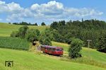 998 840 mit 798 706 zwischen Röhrnbach und Waldkirchen.  (29.06.2025) <i>Foto: Ralf Opalka</i>