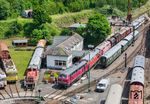 Das Eisenbahnmuseum Dieringhausen entstand auf dem 11.000 m² umfassenden Areal des ehemaligen Bahnbetriebswerkes Dieringhausen und steht unter Denkmalschutz. Deutschlandweit einzigartig ist die Anlage durch ihre Anordnung über drei Ebenen/Etagen. Auf der untersten Ebene befindet sich der Hauptteil der Anlage mit Rundlokschuppen, Drehscheibe, Stückgutabfertigung, Wasserkränen und Untersuchungsgruben. Auf der zweiten Ebene befinden sich Kohlenbunker und die ehemaligen Diensträume. Auf der dritten Ebene liegen die Gleise des ehemaligen Güterbahnhofs sowie die Streckengleise der Aggertalbahn. Neben 261 577 sind hier 215 017 (ex EfW), 218 432 und 218 451 zu sehen. (11.06.2025) <i>Foto: Joachim Schmidt</i>