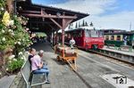 Im Wechsel mit dem Dampfzug war die "Ferkeltaxe" VT 172 140-6 und 172 141-4 auf Rügen unterwegs. Hier wartet die Triebwagengarnitur im Bahnhof Putbus auf die Abfahrt nach Bergen. (15.06.2025) <i>Foto: Joachim Schmidt</i>